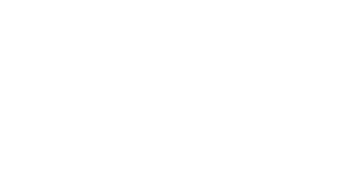 Leistungen für sichere KI: KI Compliance – Interne Assessments