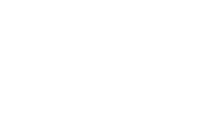 Leistungen für sichere KI: KI Compliance – Risikoklassifizierung