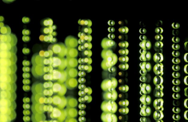 Grüne runde Lampen eines Server Racks auf schwarzem Hintergrund
