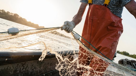 Fischernetz
