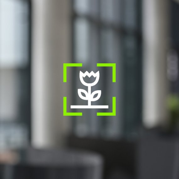 Icon in Form einer Blume