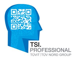 TSI_Professional_Logo