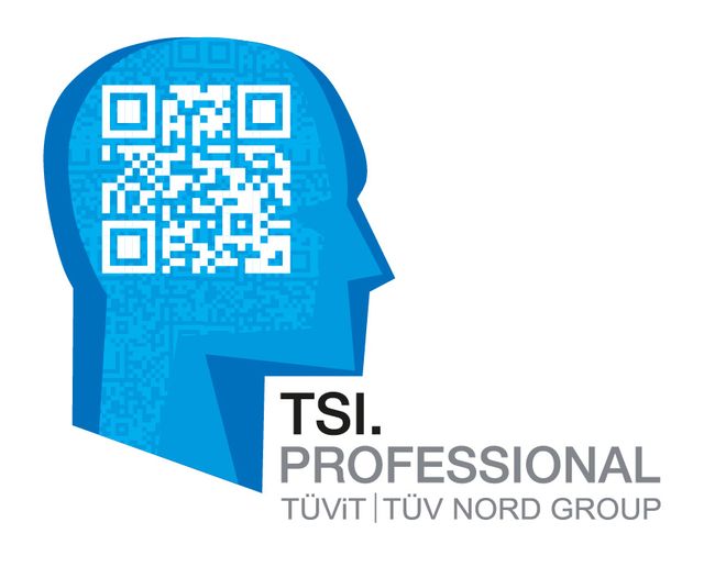 TSI_Professional_Logo