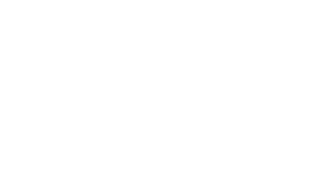 Leistungen für sichere KI: KI-Datenschutz-Check – DSGVO- & KI-Gutachten